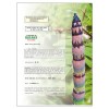 A TEXT BOOK OF  BOTANY 